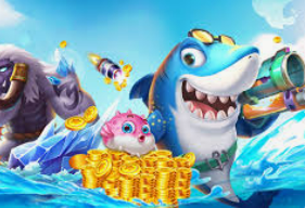 ope体育2024最新版